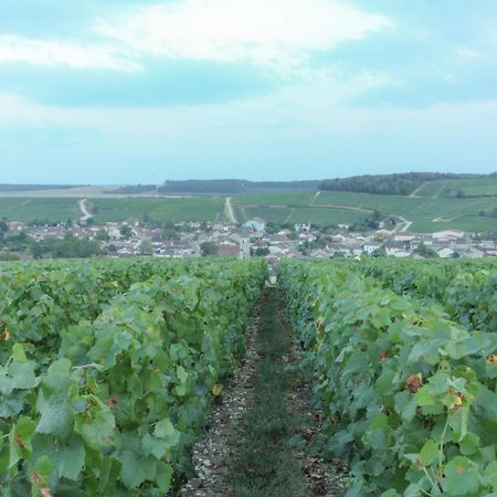 Jaucourt Une Parenthese En Champagne المظهر الخارجي الصورة