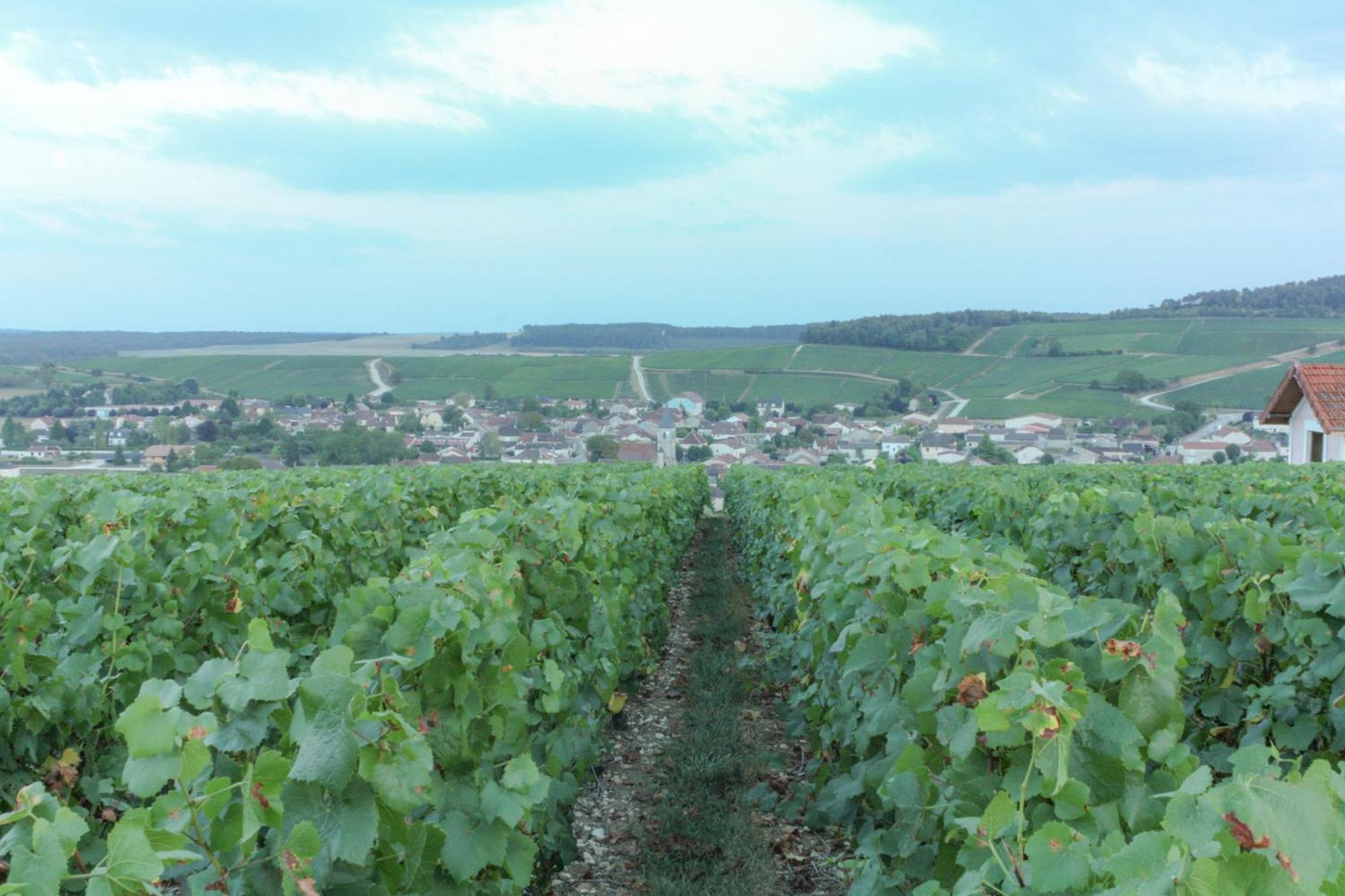 Jaucourt Une Parenthese En Champagne المظهر الخارجي الصورة